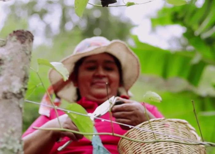 Testimonio beneficiarios – Ingredientes Naturales