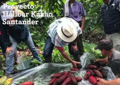 Testimonios beneficiarios cacaos especiales