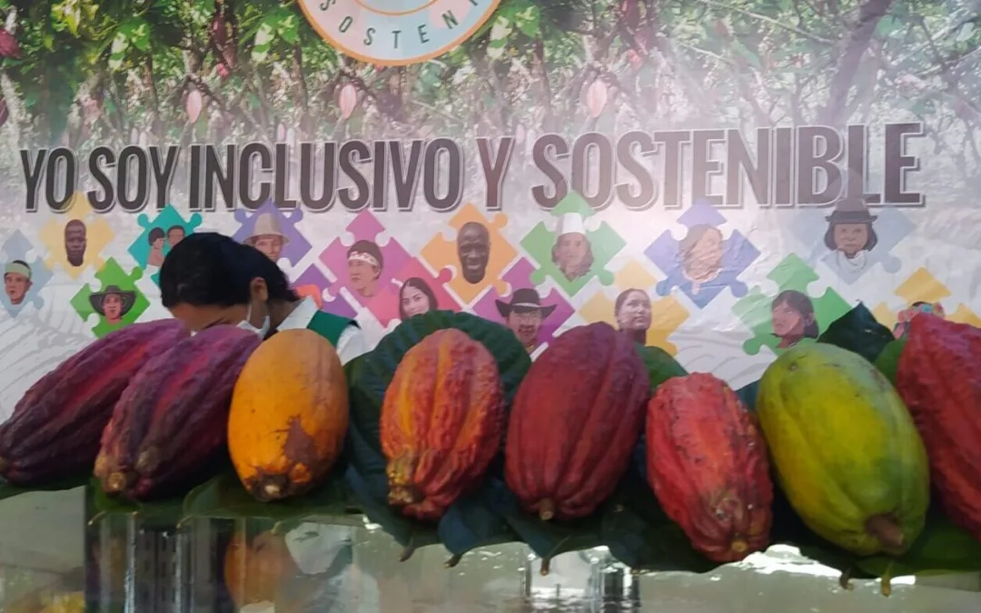 Suiza le apuesta al cacao sostenible huilense