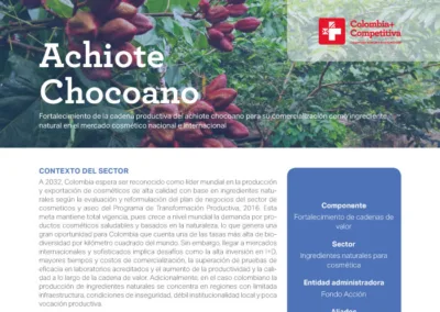 Achiote Chocoano