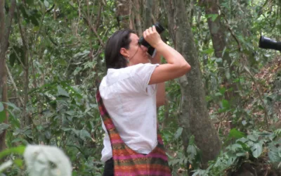 Diagnostica tus capacidades