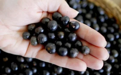 La industria de cosmética ecológica: un sector en crecimiento y comprometido con la biodiversidad colombiana