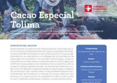 Cacao Especial Tolima