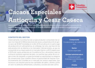 Cacaos Especiales Antioquia y Cesar Caesca