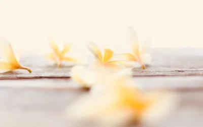 ¿Qué esperan los compradores internacionales de los ingredientes naturales colombianos?