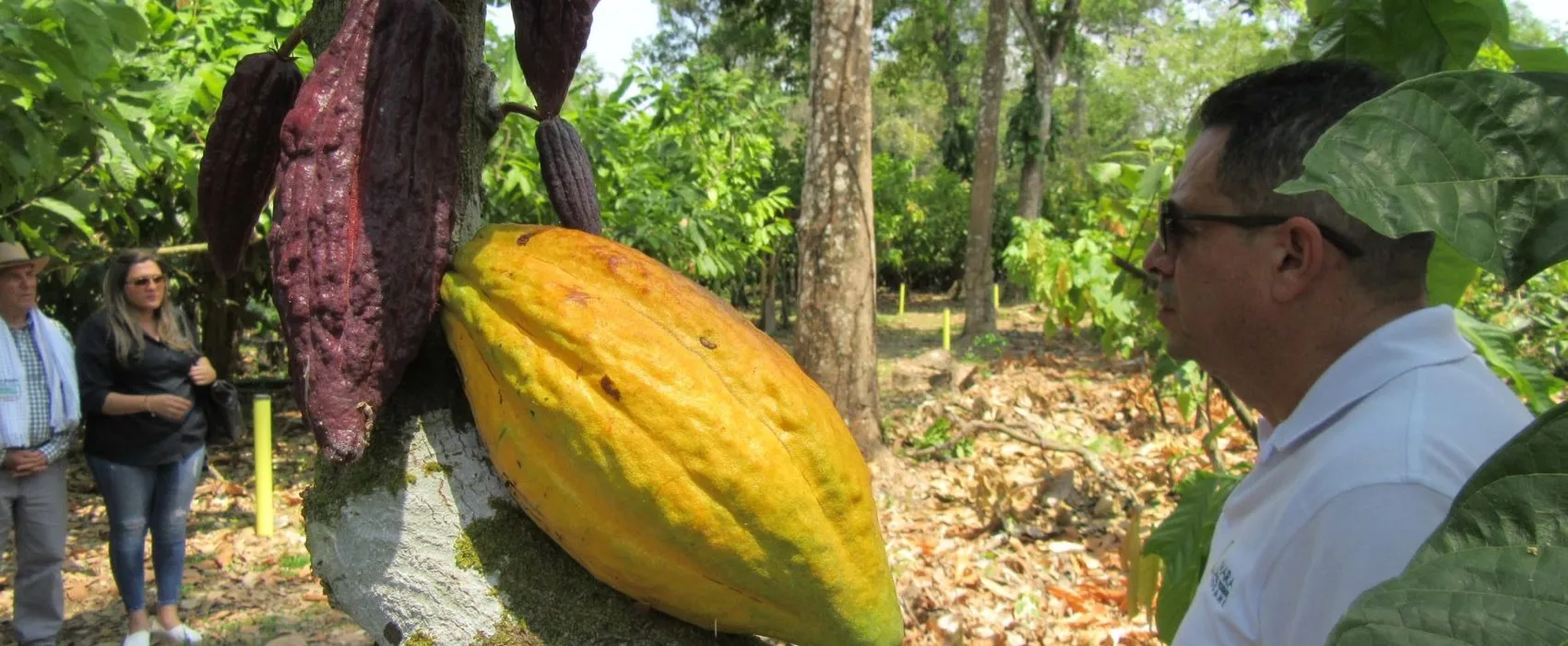 csm_Arauca_5_ac1998a9ca-1700×700