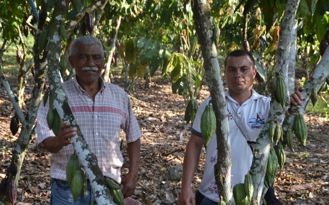 Capacitación sobre mecanismos alternativos de financiación
