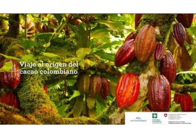 Misión Cacao: Viaje al origen del cacao colombiano