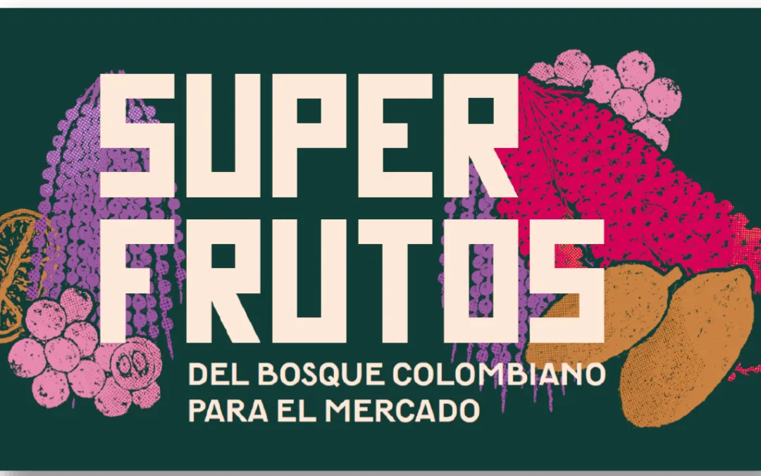 Estrategia de reconocimiento y posicionamiento de los frutos del bosque