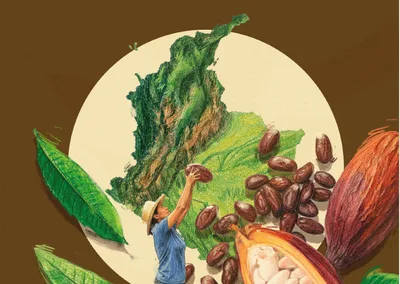 Herramienta de apoyo a la diligencia debida en el marco del EUDR para la legalidad del Cacao producido en Colombia